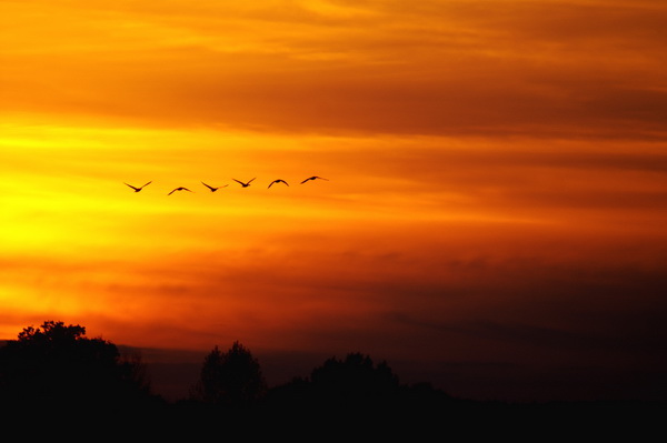 Hier klicken um die Homepage zu laden - click here to enter the homepage